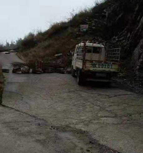 杞县圉镇车祸最新爆料,悲剧现场细节披露，伤亡情况引关注